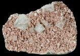 Apophyllite Crystals on Red Heulandite - India #102353-2